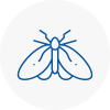 Moth Control Specialists In Heywood